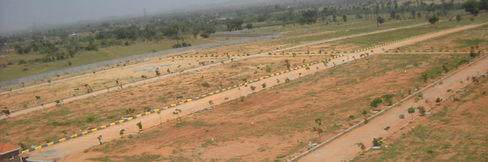 agricultural land in Haryana