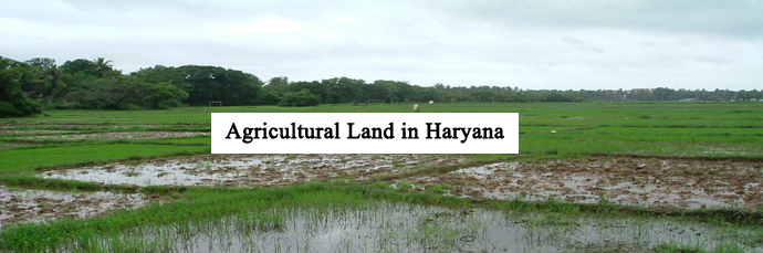 plots in Haryana